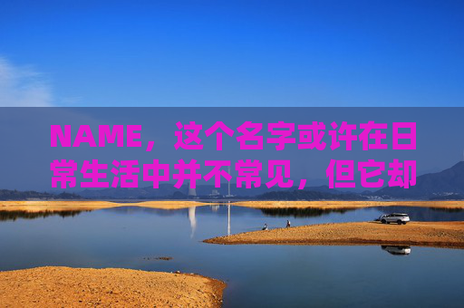 NAME，这个名字或许在日常生活中并不常见，但它却在某些领域里扮演着重要的角色。今天，让我们一起来探索这个名字背后的故事和意义
